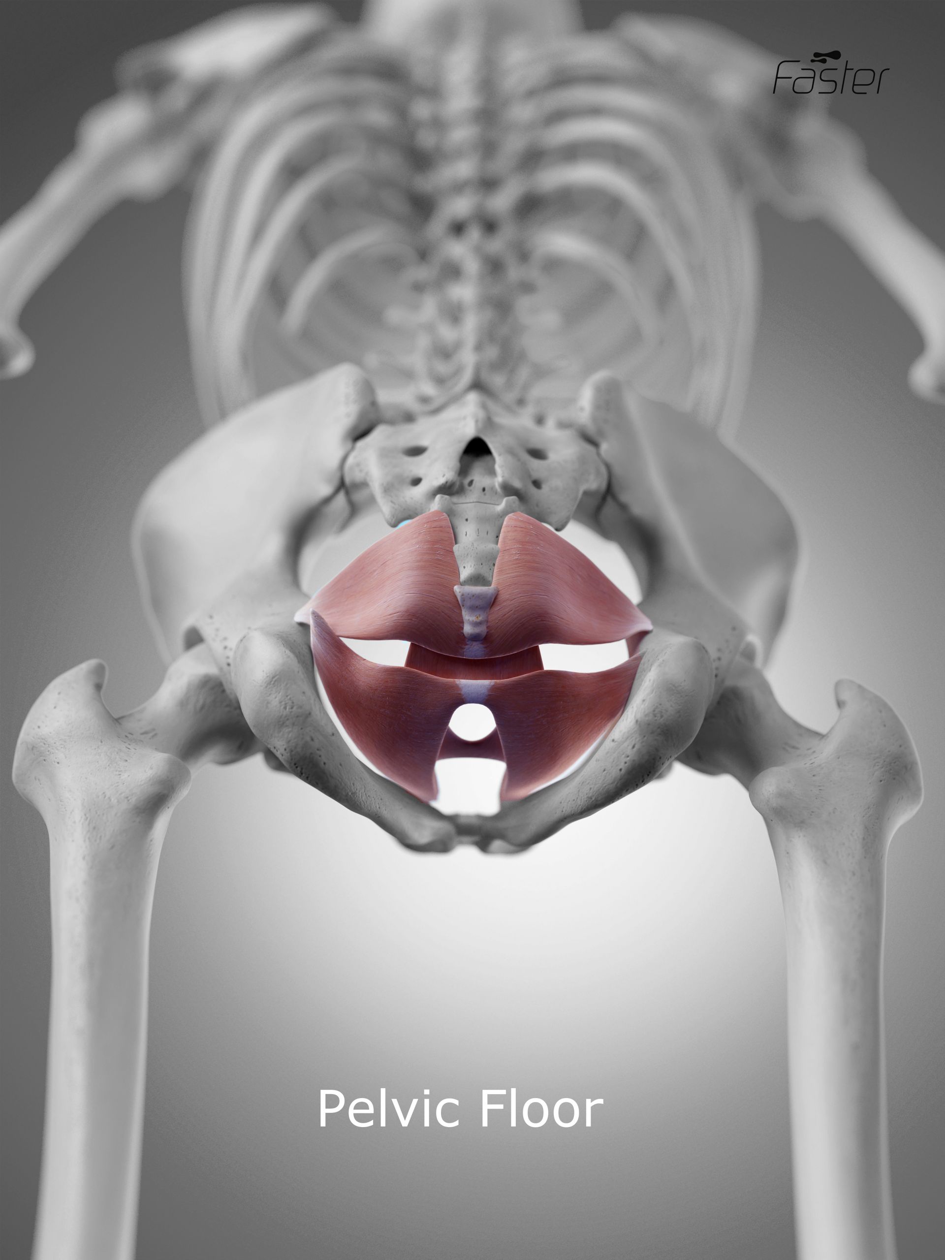 Breathing and Training the Pelvic Floor: What the Evidence Says