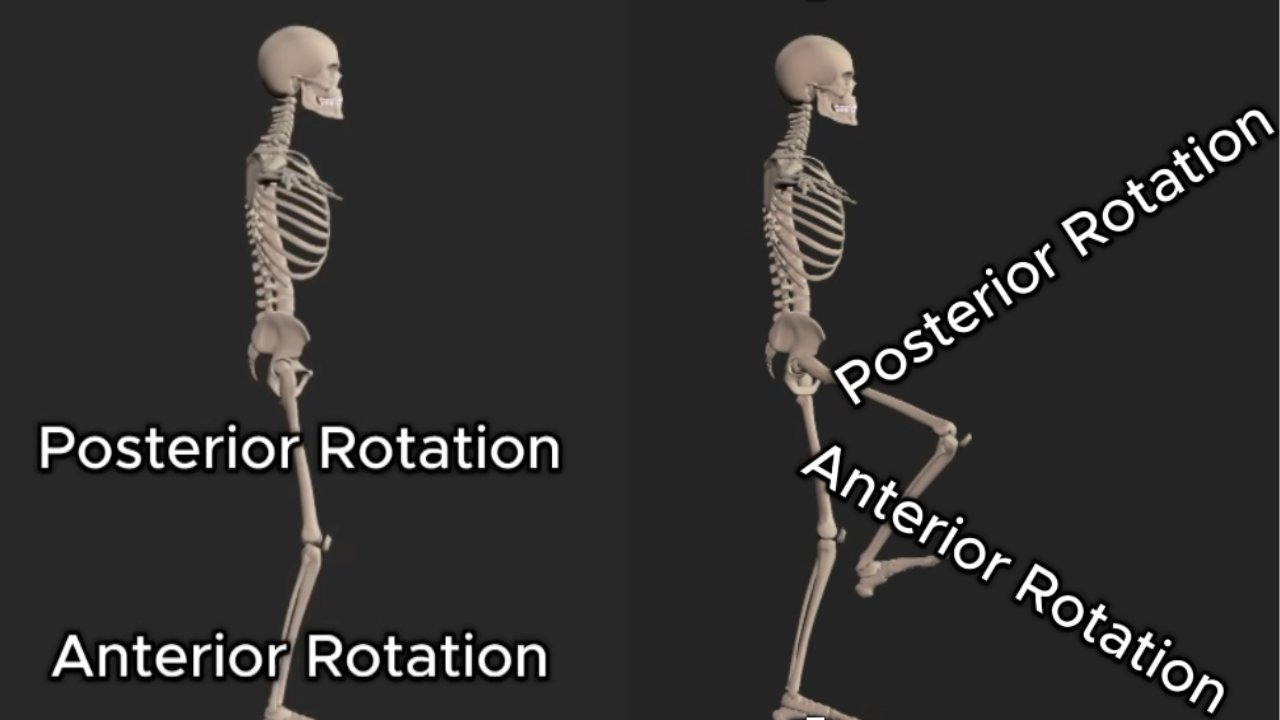 Skeletons and Blocks: How to Build Programmes on the Spot